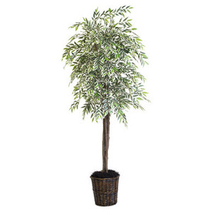 Vickerman 6' Artificial Varigated Smilax Deluxe Black Plastic Pot