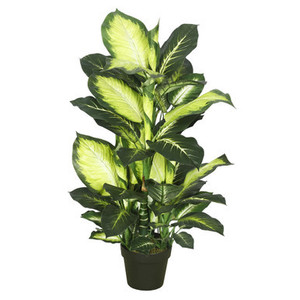 Vickerman 40" Artificial Green and White Dieffenbachia
