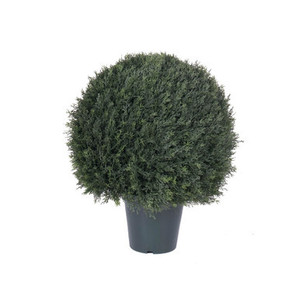 Vickerman 24" Artificial UV Resistant Pond Cypress Topiary in Two Tone Green Pot
