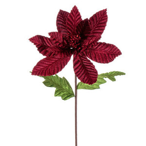 Vickerman 22" Burgundy Velvet Glitter Trim Poinsettia 6 per bag