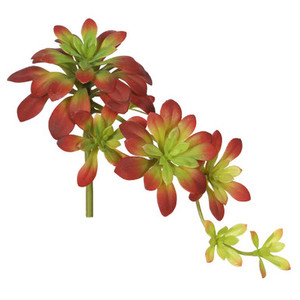 Vickerman 7" Artificial Atropurpureum Stem-Burgundy and Green Set of 3