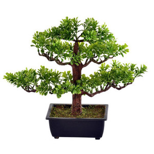  Vickerman TA192010 10" Artificial Murraya Bonsai Tree in Pot
