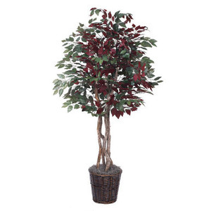 Vickerman TEX0360 6ft Artificial Capensia Tree in Pot