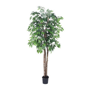 Vickerman TDX0160-07 6ft Artificial Ficus Tree in Pot