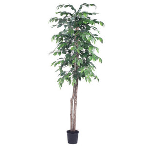  Vickerman TEC0160-07 6ft Artificial Ficus Tree in Pot