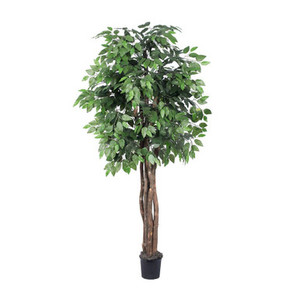  Vickerman TEX0160-07 6ft Artificial Ficus Tree in Pot
