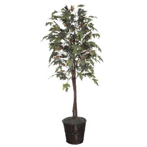 Vickerman TEC1760 6ft Artificial Frosted Maple Tree in Pot