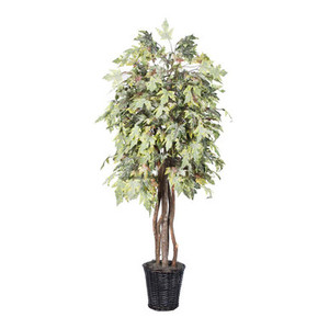  Vickerman TEX1760 6ft Artificial Frosted Maple Tree in Pot
