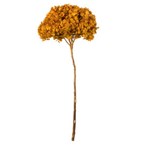 Vickerman 15" Aspen Gold Hydrangea with Multiple Branch Segments