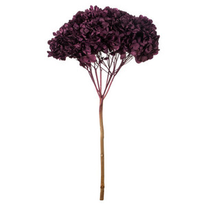 Vickerman 15" True Violet Hydrangea with Multiple Branch Segments