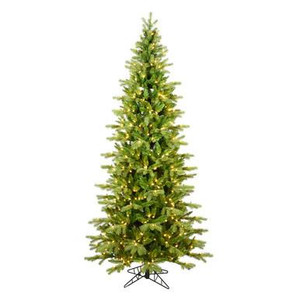 Vickerman 5.5' x 36" Balsam Spruce Slim Tree 650 Warm White Low Voltage 3MM LED Lights