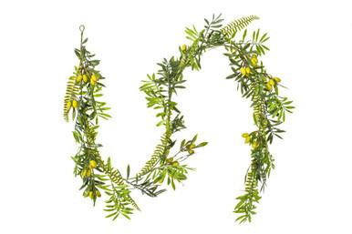 Vickerman 6' Artificial Mixed Olive Leaf Garland