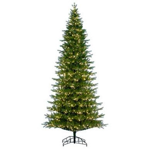  Vickerman 10' x 56" Balsam Spruce Slim Tree 2100 Warm White Low Voltage 3MM LED Lights 
