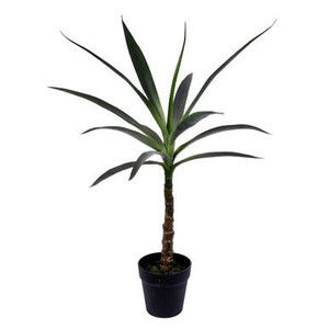  Vickerman 30" Artificial Green Yucca Tree in Black Planters Pot 
