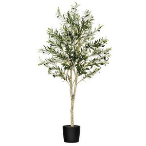 Vickerman 60" Artificial Green Olive Tree in Black Planters Pot
