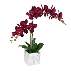 Vickerman 22" Artificial Potted Real Touch Dark Purple Phalaenopsis Spray
