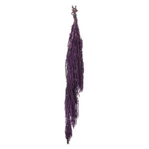 Vickerman 30" Violet Amaranthus Bundle Preserved