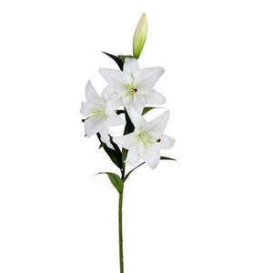 Vickerman 36" Artificial White Real Touch Lily Spray