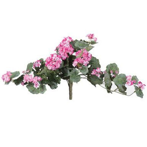 Vickerman 22" Artificial Light Pink Geranium Hanging