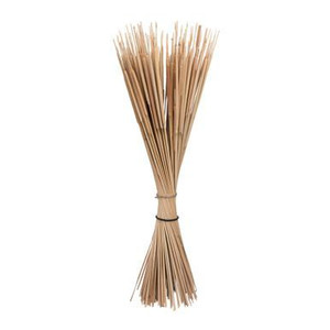 Vickerman Natural Botanicals 24" Reed Spadix Pencil