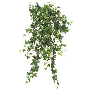 Vickerman 26" Artificial Green Mini Ivy Hanging Bush