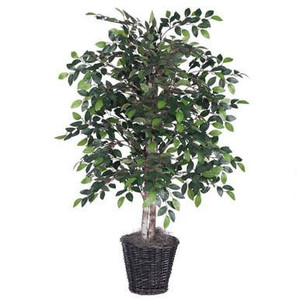  Vickerman 4' Artificial Mini Ficus Bush Rattan Basket 
