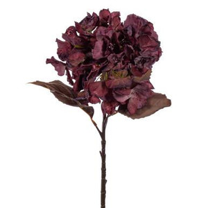 Vickerman 18.5" Light Burgundy Artificial Dried Hydrangea Spray 2 per Bag
