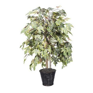  Vickerman 4' Artificial Frosted Maple Bush Rattan Basket 