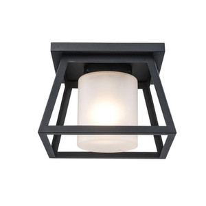 Trans Globe 51395 BK Flush Mount