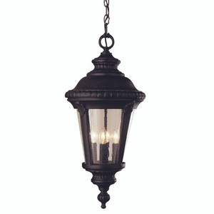 Trans Globe 50491 BK Commons 22" Hanging Lantern