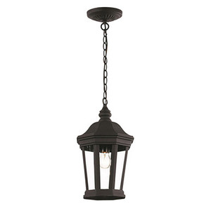 Trans Globe 40405 BK Westfield Hexagon Shaped, Clear Glass Outdoor Pendant Light with Chain