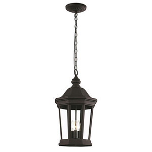 Trans Globe 40406 BK Westfield Hexagon Shaped, Clear Glass Outdoor Pendant Light with Chain