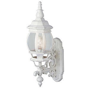 Trans Globe 4050 WH Francisco 1-Light Outdoor Beveled Glass Coach Wall Lantern