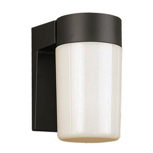 Trans Globe 4810 BK Pershing 1-Light Cylindrical Shade Outdoor Wall Light