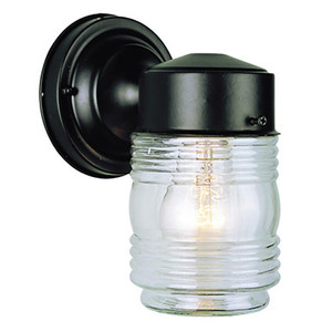 Trans Globe 4900 BK Quinn 1-Light Classic Glass Jar Shade Outdoor Wall Light