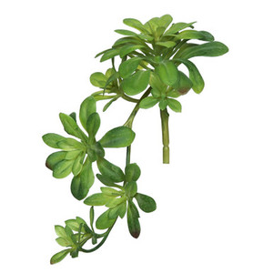 Vickerman FH170901 11" Aeonium Spray-Green PK/3