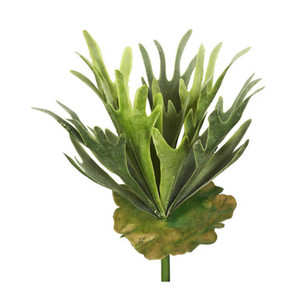 Vickerman FA170301 13" Staghorn Fern Bush Frosted-Green