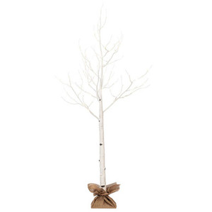Vickerman X221060 6' White Birch Twig Tree LED 96WW