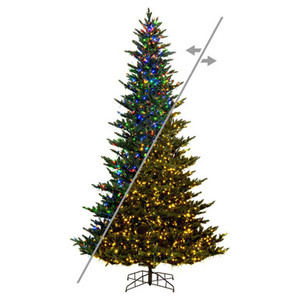 Vickerman K194178LEDCC 7.5' x 54" Natural Fraser 3mm LED 1800CC