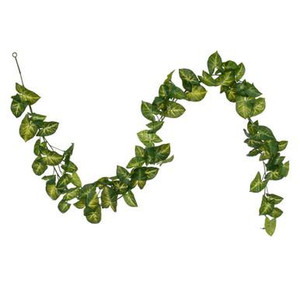 Vickerman FTL250372UV Vickerman - 72 in. Green Syngonium Christmas Garland - Unlit 