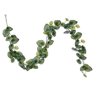 Vickerman FTL250572UV Vickerman - 72 in. Green Watermelon Peperomia Christmas Garland - Unlit 