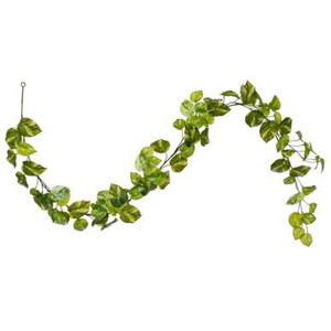 Vickerman FTL251172UV Vickerman - 72 in. Green Pothos Christmas Garland - Unlit 
