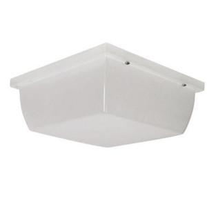 LBS Lighting 10-inch Square Outdoor Ceiling Light with Frost Lens 