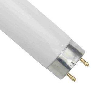  Sunlite 30187-SU F58T8/841 T8 5 ft Fluorescent Tube 4100K 