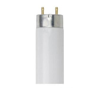  Sunlite 30175-SU Fluorescent Light Tube 