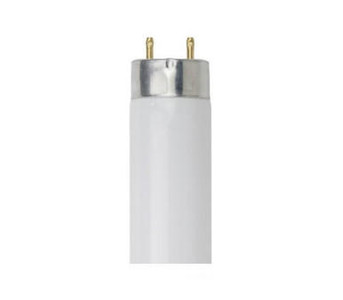  Sunlite 30177-SU Fluorescent Light Tube 