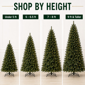 Shop Trees by Height