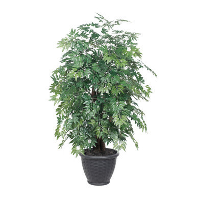 TXX0640-RG Vickerman - 4 ft Dark Green Ming Aralia Artificial Bush