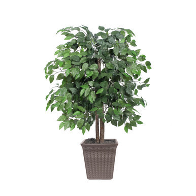Vickerman 4' Artificial Ficus Bush Square Brown Plastic Container
