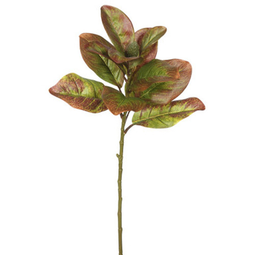 Vickerman 31" Artificial Autmn Magnolia Leaves No Blossom Set of 3